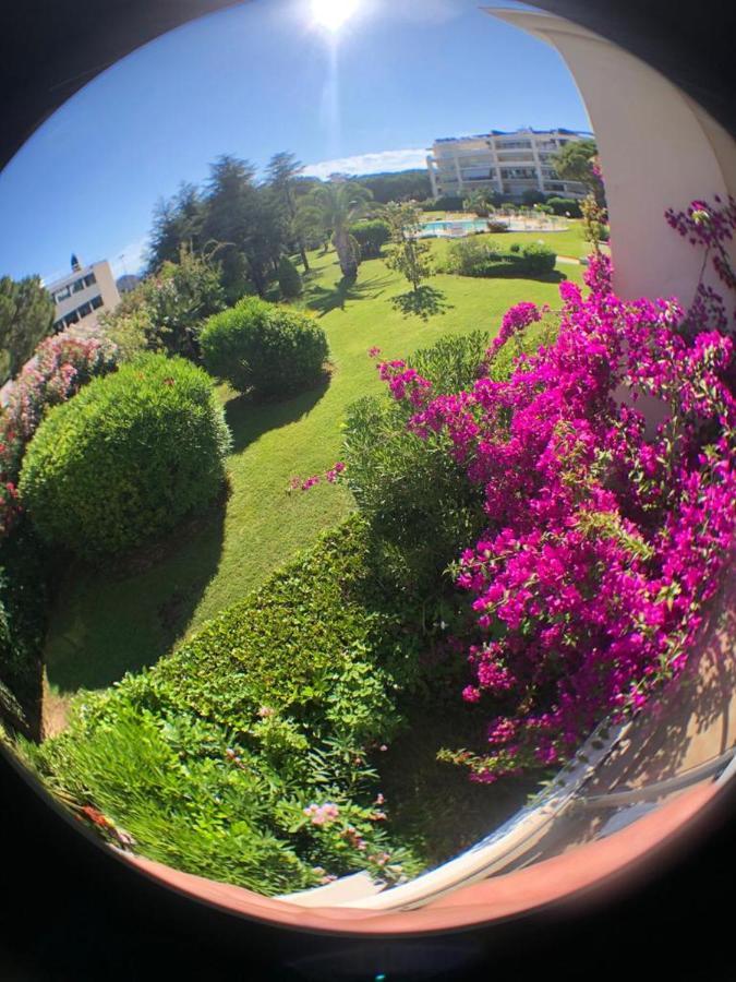 Front Sea Luxury Appartement