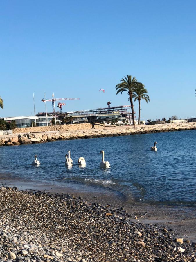 Apartment Front Sea Luxury Cagnes-sur-Mer